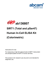 ab136807 SIRT1 (Total and pSer47) Human In-Cell ELISA Kit (Colorimetric)