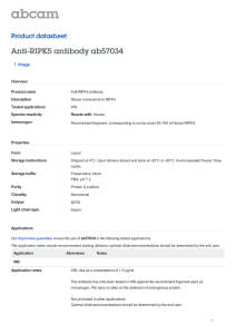 Anti-RIPK5 antibody ab57034 Product datasheet 1 Image Overview