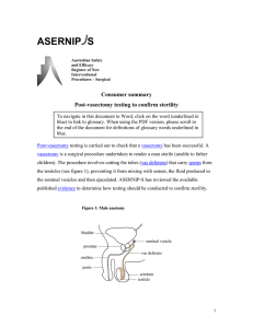 ASERNIP S Consumer summary Post-vasectomy testing to confirm sterility