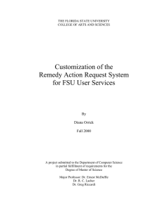 Customization of the Remedy Action Request System for FSU User Services By