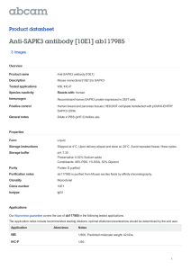 Anti-SAPK3 antibody [10E1] ab117985 Product datasheet 3 Images Overview