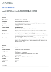 Anti-GDF15 antibody [23G10.F8] ab105732 Product datasheet 1 Image Overview