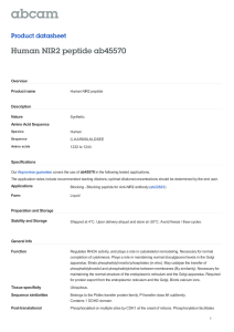 Human NIR2 peptide ab45570 Product datasheet Overview Product name