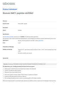 Human SMC1 peptide ab23863 Product datasheet Overview Product name