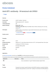 Anti-IST1 antibody - N-terminal ab139553 Product datasheet 1 Image