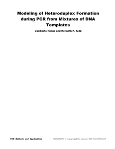 Modeling of Heteroduplex Formation during PCR from Mixtures of DNA Templates