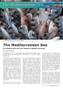 The Mediterranean Sea Its biodiversity and the impact of global warming