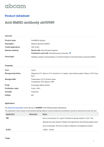 Anti-BMH2 antibody ab92989 Product datasheet