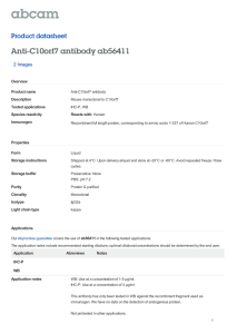 Anti-C10orf7 antibody ab56411 Product datasheet 2 Images Overview