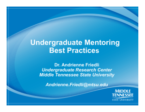 Undergraduate Mentoring Best Practice  s