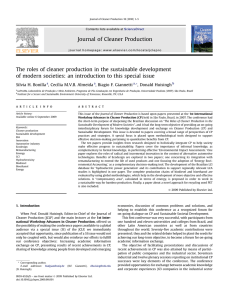 The roles of cleaner production in the sustainable development