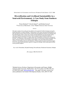 Diversification and Livelihood Sustainability in a Ethiopia