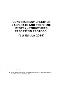 BONE MARROW SPECIMEN (ASPIRATE AND TREPHINE BIOPSY) STRUCTURED