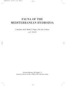 FAUNA OF THE MEDITERRANEAN HYDROZOA C. Gravili