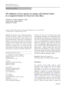 The influence of tree species on canopy soil nutrient status