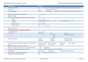 Kidney pelvic and/or ureteric tumours  Macroscopic reporting dictation template