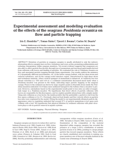 Experimental assessment and modeling evaluation of the effects of the seagrass