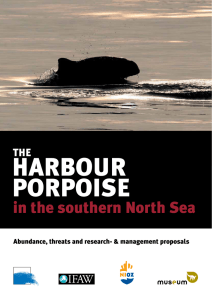 HARBOUR PORPOISE in the southern North Sea THE