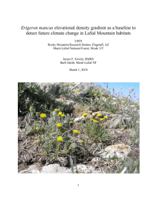 Erigeron mancus  detect future climate change in LaSal Mountain habitats