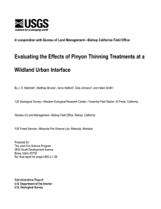 Evaluating the Effects of Pinyon Thinning Treatments at a