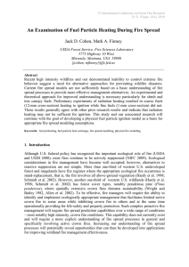 An Examination of Fuel Particle Heating During Fire Spread