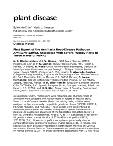 Disease Notes First Report of the Armillaria Root-Disease Pathogen, Armillaria gallica