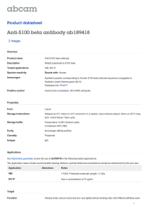 Anti-S100 beta antibody ab189418 Product datasheet 2 Images Overview