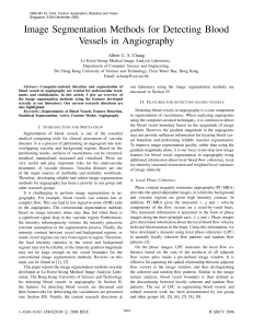 Image Segmentation Methods for Detecting Blood Vessels in Angiography