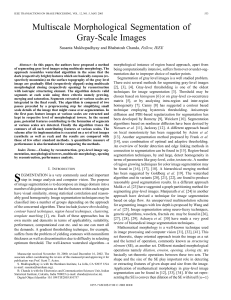 Multiscale Morphological Segmentation of Gray-Scale Images , Fellow, IEEE