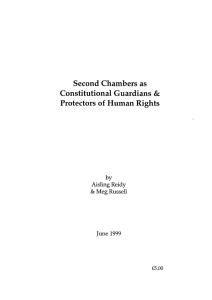 Second Chambers as Constitutional Guardians Protectors of  Human Rights &amp;