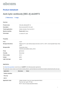 Anti-Ly6c antibody [HK1.4] ab24973 Product datasheet 2 References 1 Image