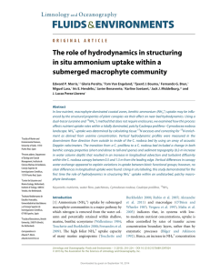 The role of hydrodynamics in structuring submerged macrophyte community