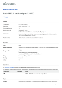 Anti-PTHLH antibody ab125700 Product datasheet 1 Image