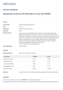 Apoptosis Inducer Kit (Ready-to-use) ab102480 Product datasheet Overview Product name