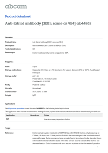 Anti-Estriol antibody [3E01; same as 9B4] ab44962 Product datasheet Overview Product name