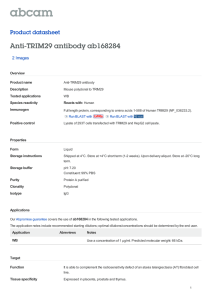 Anti-TRIM29 antibody ab168284 Product datasheet 2 Images Overview