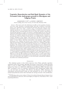 Vegetative Reproduction and Bud Bank Dynamics of the