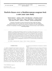 case Particle fluxes over a Mediterranean seagrass bed: a one year study