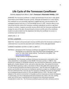 Life Cycle of the Tennessee Coneflower Tennessee’s Watchable Wildlife,