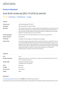 Anti-BrdU antibody [BU1/75 (ICR1)] ab6326 Product datasheet 79 Abreviews 7 Images