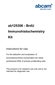 ab125306 - BrdU Immunohistochemistry Kit Instructions for Use