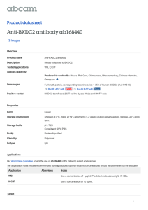 Anti-BXDC2 antibody ab168440 Product datasheet 3 Images Overview
