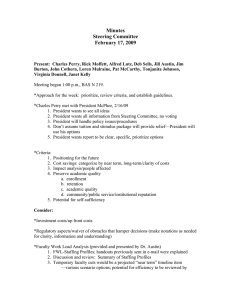 Minutes Steering Committee February 17, 2009