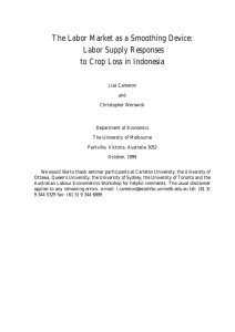 The Labor Market as a Smoothing Device: Labor Supply Responses