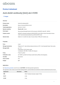 Anti-ALG2 antibody [2A3] ab119390 Product datasheet 3 Images Overview