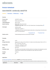 Anti-RACK1 antibody ab62735 Product datasheet 1 Abreviews 1 Image