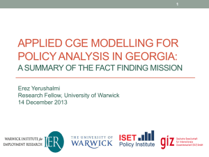 APPLIED CGE MODELLING FOR POLICY ANALYSIS IN GEORGIA: Erez Yerushalmi