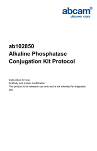 ab102850 Alkaline Phosphatase Conjugation Kit Protocol