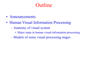 Outline • Announcements • Human Visual Information Processing – Anatomy of visual system