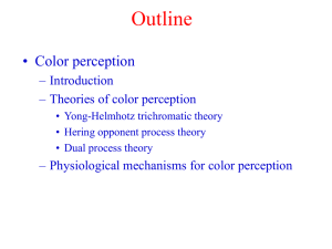 Outline • Color perception – Introduction – Theories of color perception